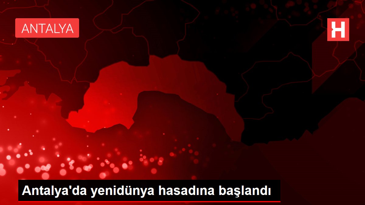 Antalya'da yenidünya hasadına başlandı - Ekonomi