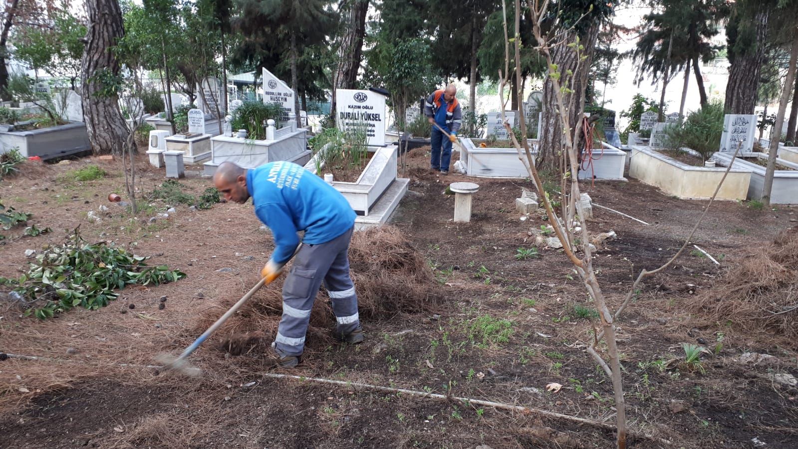 Büyükşehir Alanya'daki mezarlıkları temizleniyor