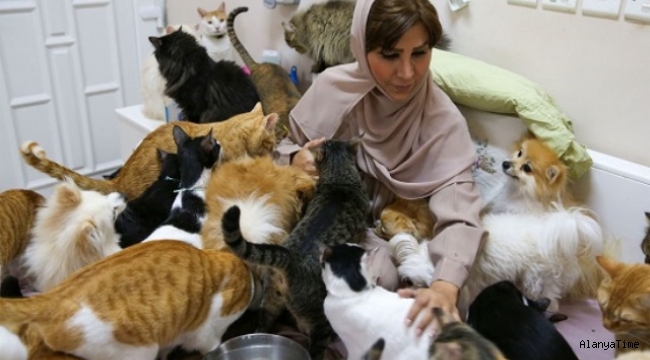 Evinde 480 kedi ve 12 köpek ile birlikte yaşıyor.