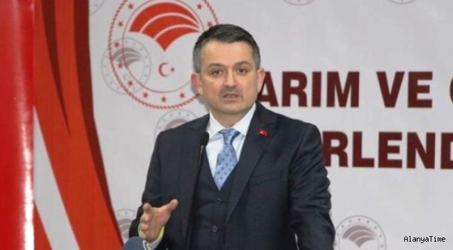 Tarım Orman ve Bakanı Bekir Pakdemirli; Geçici bir gıda enflasyonu var mayıs ayı gibi rahatlayacağız