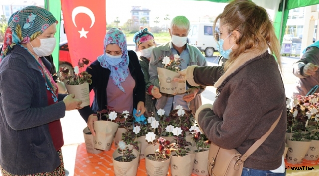 SULTANKEYKUBAT'IN ALANYA'YI FETHİNİN 800. YILI ANISINA ÇİÇEK DAĞITIM ETKİNLİĞİ DEVAM EDİYOR