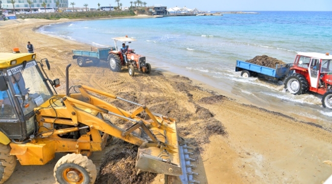 DALGALARLA KIYIYA VURAN ATIKLAR ALANYA BELEDİYESİ EKİPLERİNCE TEMİZLENİYOR