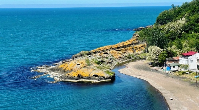 "Timsah Adası"