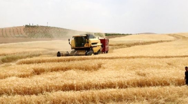 IMF: Karadeniz girişiminin duraklaması tahıl fiyatlarını yüzde 15'e kadar artırabilir