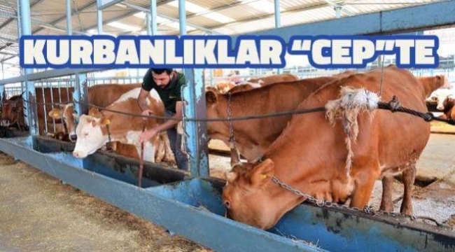 Kurbanlar 'Tarım Cebimde' uygulaması ile sorgulanıyor