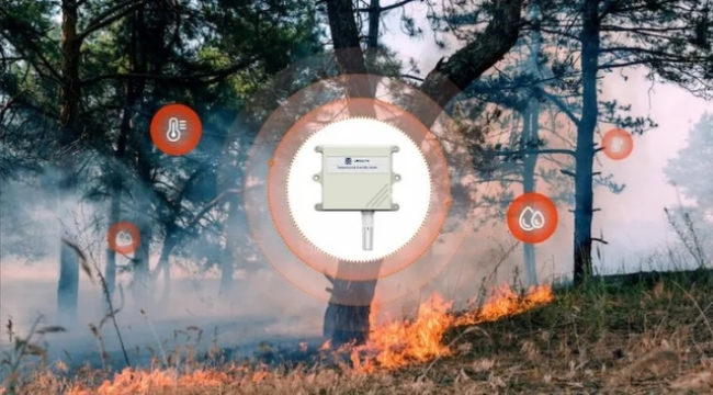 Orman yangınlarıyla mücadelede "yapay zeka" dönemi
