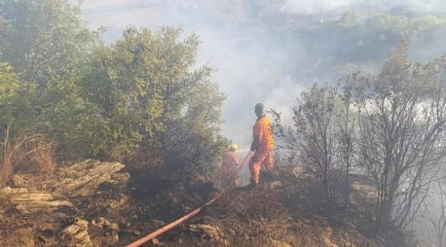 Antalya'da orman yangını çıktı! Ekipler müdahale ediyor