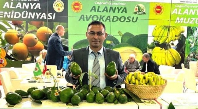 Alanya Ziraat Odası'ndan avokado hırsızlığına karşı yeni önlem