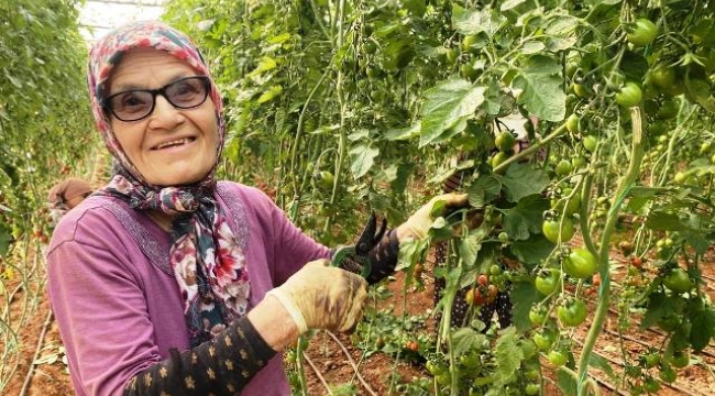 75 yaşındaki kadın azmiyle hayran bırakıyor