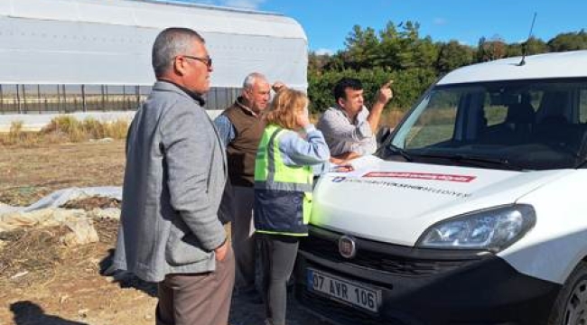 Alanya'da Büyükşehir üreticinin yaralarını sarmak için harekete geçti