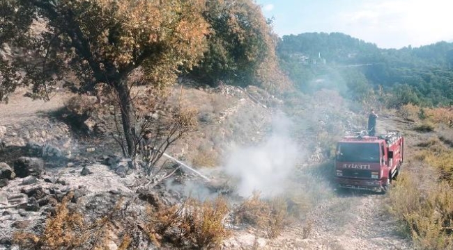 Alanya'da merada çıkan yangın kontrol altına alındı