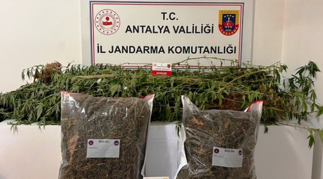 Alanya'da 33 kilo uyuşturucu ele geçirildi, 14 şahıs tutuklandı