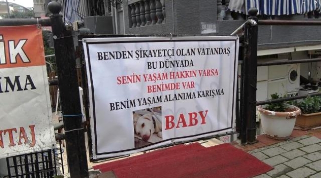 Alanya'da köpek için sahibinden pankartlı tepki