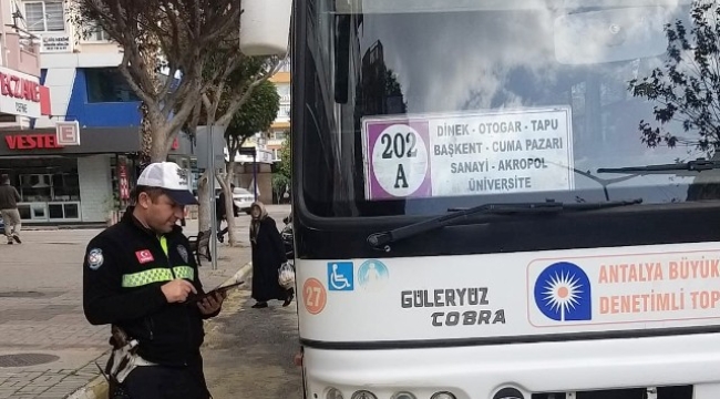 Alanya'da toplu taşıma araçlarına ceza yağdı 