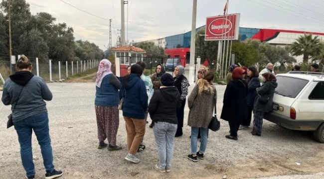 Ürünleri AB ülkelerinden dönen firma iflas etti: Alacaklılar tesisin kapısına dayandı