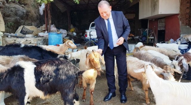 Kırsal Kalkınma Yatırımları Desteklenmesi başvuruları başladı