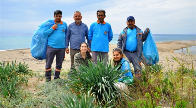 Alanya'da kum zambakları ve caretta carettalar koruma altında