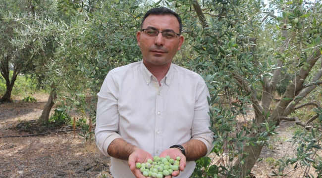 Tahir Göktepe 'Oran yüzde 5' diyerek acil önlem çağrısında bulundu